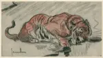 van Essen, Jan , Tiger drinking -