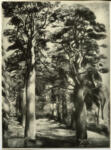 Kisling, Moise , Paysage