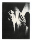 Brancusi, Constantin , Mlle Pogany II -
