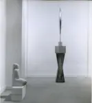 Brancusi, Constantin , Bird in space