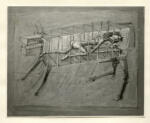 Brauner, Victor , Coesistenza