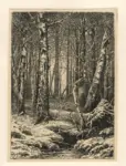 Volkoff, E. , A Forest in a marsh