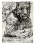 de Goya Y Lucientes, Francisco José , Il letterato (Animal de letras)