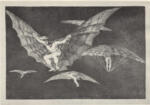 de Goya Y Lucientes, Francisco José , Un solo modo di volare - da Los Proverbios -