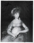 de Goya, Francisco , La contessa di Chinchon seduta (particolare)