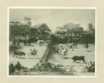 Anonimo , de Goya Y Lucientes, Francisco Jose - sec. XIX - La corrida