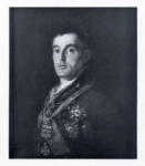 de Goya Y Lucientes, Francisco Jose , Ritratto di Arthur Wellesley, primo Duca di Wellington