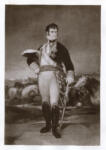 de Goya Y Lucientes, Francisco Jose , Fernando VII in uniforme da generalissimo