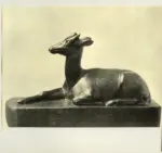 Hernandez, Mateo , Jeune cerf des Indes -