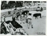 Picasso, Pablo , La corrida