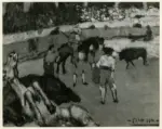 Picasso, Pablo , La corrida