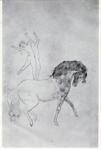 Picasso, Pablo , Al circo