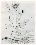 Picasso, Pablo , Fiore
