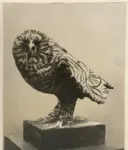 Picasso, Pablo , Gufo rosso e nero