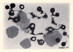 Calder, Alexander , Black Discs