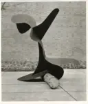 Calder, Alexander , Whale