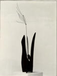 Calder, Alexander , Cacatua
