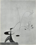 Calder, Alexander , Bugainvilllea