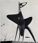 Calder, Alexander , La Racine
