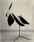 Calder, Alexander , Cinque foglie