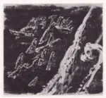 Graves, Morris , Uccelli sulla spiaggia -