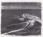 Graves, Morris , Gabbiano ferito -