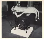 Kienholz, Edward , Five-Dollar Billy