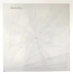 Lewitt, Sol , Blue lines...Red lines... -