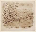 Marin, John , Peach trees in Blossom
