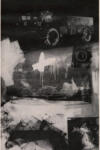 Rauschenberg, Robert , Crocus