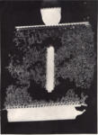 Anonimo ; Anonimo , s.v.