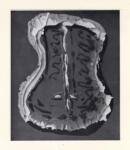 Ray, Man , Torso -