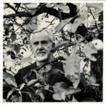 Tobey, Mark , Mark Tobey -