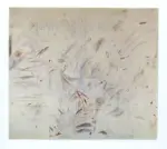 Anonimo , Twombly, Cy - sec. XX - Senza titolo