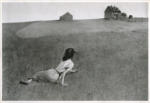 Wyeth, Andrew , Il mondo di Cristina