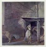 Wyeth, Andrew , Cani