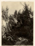 Böcklin, Arnold , Pan in the Woodland