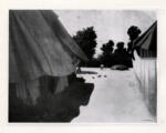 Vallotton, Felix , Cour de Ferme avec Basse-Cour