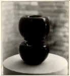 Bill, Max , Plastica nera