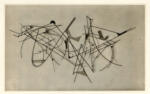 Bodmer, Walter , Drahtbild