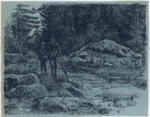 Huber, Hermann , Viandante nel bosco alpestre -