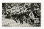 Anonimo , Liljefors, Bruno - sec. XX - Renard - foret d'hiver