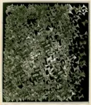 Kemeny, Zoltan , Composizione