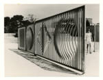 Anonimo , Vasarely, Victor - sec. XIX/ XX - Cancellata