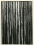 Giacomelli , Segall, Lasar - sec. XX - Foresta illuminata