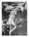 Nolan, Sidney , Leda and the Swan -
