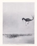 Nolan, Sidney , Desert Bird - , Desert Bird -