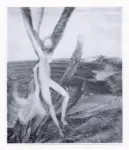 Nolan, Sidney , Leda and the Swan