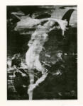 Nolan, Sidney , Leda and the Swan - , Leda and the Swan -