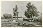 Jacque, Charles , Moutons - Paysage